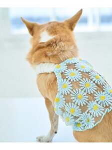 ySALE^30%OFFzyDOGzt[L~\[ ROPE' PICNIC PASSAGE ysNjbN ybgpi ybgEFAEybg u[ zCgyRBA_Ez[Rakuten Fashion]