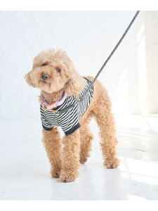 ySALE^50%OFFzyDOGztFCNXG[hJ[ MTCY ROPE' PICNIC PASSAGE ysNjbN ybgpi ybgEFAEybg x[W p[vyRBA_Ez[Rakuten Fashion]