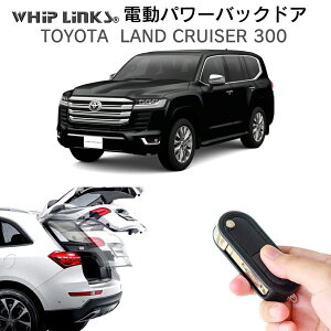 dp[obNhA Lbg TOYOTA g^ LAND CRUISER 300 hN[U[300 t p[Q[g _p[ gN J R p[AQ[g I[ge[Q[g tbgZ