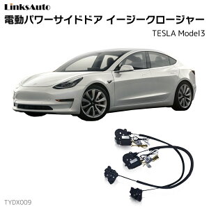 TChhAC[W[N[W[ eX TESLA Model3 dp[TChhA hAh~ Lbg t XCOhA