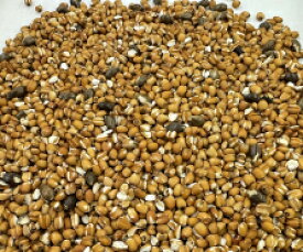 はとむぎ（飼料用）1kg