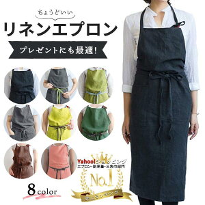 yyVX[p[SALEzl Gv  s[X fB[X Y k ۈm JtF  O 킢 i`