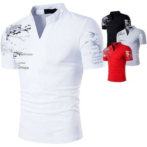  |Vc StEFA  Y Vc 304050 t EC^[