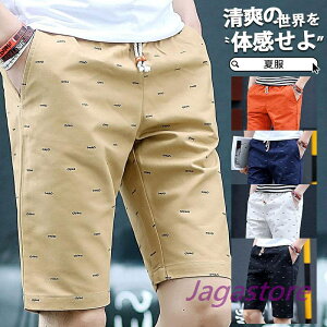 StEFA Y n[tpc St V[gpc Stn[tpcėp`mpc StY{ {gX XLj[ X|[cEFA ̓