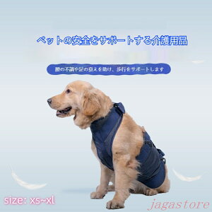 L ybgp xg n[lX s ⏕xg p ^ ^  xg xg s⏕ 