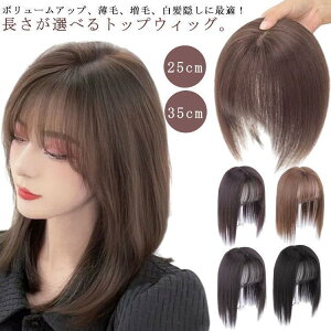 EBbO EBbO   ECbO Jo[ wAs[X s[X Jo[ ECbO ȒP ʋC y