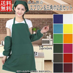 Gv Op 2_Zbg l fB[X Y n  Vv S12F  󂠂i BiF