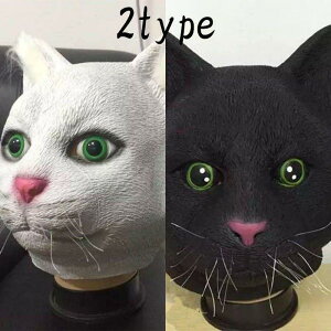 nEB 蕨 L Aj} }XN  ʓ   }XN Aj}}XN lR nEB  ʔ RXv ߑ