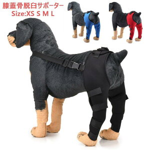 ֐ ی ybgp T|[^[ GW EP  e یp L y veN^[ rߖh~ p pŒ V pŒ ی