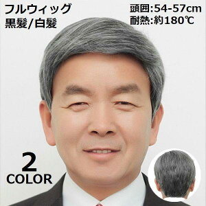 tEBbO  Y jp Np N  ubN  i` R ~fBAV[g Xg[g