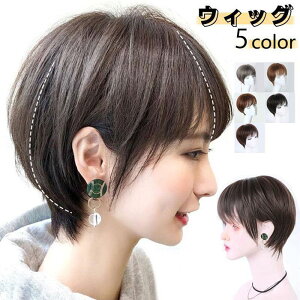 EBbO V[g tEBbO {u R ECbO j  V[gwA Of[V l  fB[X EBbO  O