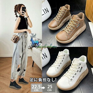  Xb| fB[X Xb|   RtH[gV[Y  [gu[c nCJbgXj[J[  