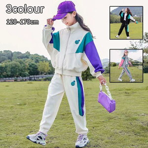 q  W[W p[J[ ̎q ㉺Zbg XEFbg ZbgAbv LbY WjA X|[cEFA JWA