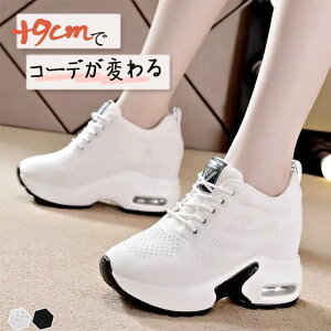 yyVX[p[SALEzXj[J[ fB[X Xj[J[ [Jbg nCJbgXj[J[ Cq[   C y ₷ ɂ r g