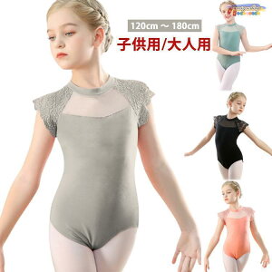 oGI^[h LbY qǂ l lp  qǂ WjAp _X K oG ̑ ʋC XJ[gȂ