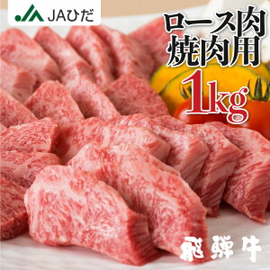 yJAЂzˋ ēp [X 1kg(500g×2)@[X(u[X E T[C) Ă ~ @  ~ JA BBQ Ε Mtg@a Ⓚ kCEEꕔʓr