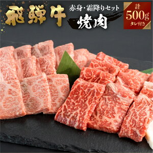yJAЂz ˋ  ē Ԑg ~ Hה 250g×2 500g A4ȏ  ̂Ή j Mtg JA Ⓚ kCEEꕔʓr1000~