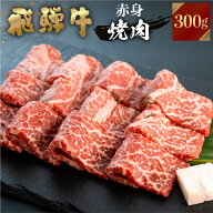 【JAひだ】 飛騨牛 牛肉 焼肉 もも 300g A4等級以上 赤身 焼き肉 もも肉 送料無料 バーベキュー BBQ のし…