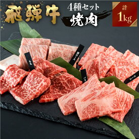 【JAひだ】 飛騨牛 焼肉 1kg（250g×4種類 食べ比べ） 3～5人前 冷凍 焼き肉 和牛 焼肉 バーベキュー BBQ 送料無料 コロナ 応援 JA飛騨 もも ロース バラ 肩ロース ブランド牛 個包装 簡易包装