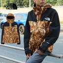 THE NORTH FACE ザ・ノース・フェイス NP62551 NOVELTY MOUNTAIN LIGHT JACKET ノベルティ マウンテン ライト ジャケット GORE-TEX ゴアテックス マウンテンパーカー シェル 撥水 防水 耐久 アウター アウトドア メンズ ユニセックス 国内正規 2025AW 10%OFF セール