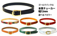 JAJABOON 【メール便OK★】本革チョーカー（ゴールドバックル）12ミリ幅 選べる3サイズ 全7色 本革（レザ…