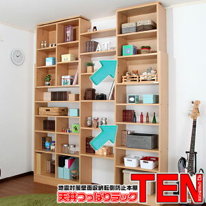 �V����ς胉�b�NTEN��p�@TEN���s44cm�^�C�v��p�ǉ��I�i�I�[�_�[���Y�i�j �yRCP�z�y-JAJAN SPU-�z