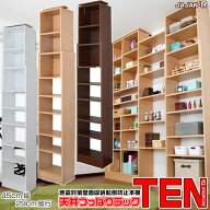 地震対策 天井つっぱりラック TEN 薄型 29cm奥行 45cm幅 本体 本棚 スリム 扉付きへカスタマイズ可能 耐…