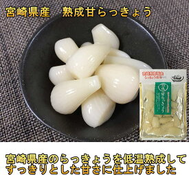【8月20日以降発送予定】熟成甘らっきょう 国産 無添加 80gx20袋 らっきょう漬け 送料無料 カリカリらっきょう漬け お歳暮 らっきょ　漬け物　還暦 B級グルメ 上沖産業 ギフト プチギフト 贈り物 お中元 九州 宮崎