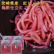 国産 紅しょうが（宮崎県産）紅ショウガ 50g×4袋セット ガリ 紅生姜 小袋 小分け パック 個包装 梅酢仕…