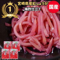 紅生姜（紅しょうが） 国産（宮崎県産）紅ショウガ 50g×4袋セット ガリ 小袋 小分け パック 個包装 送料…