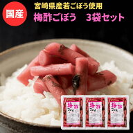 梅酢ごぼう　3袋セット 国産 漬物 お買い物マラソン 1000円ポッキリ 送料無料 宮崎産 ご飯のお供 お酒 お…