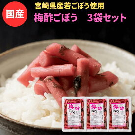 梅酢ごぼう　3袋セット 国産 漬物 お買い物マラソン 1000円ポッキリ 送料無料 宮崎産 ご飯のお供 お酒 おつまみセット 常備菜 漬け物 ポイント消化 メール便　メール 便 ギフト プチギフト 贈り物 お中元