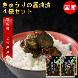 yX[p[SALE 1480~1380~zY イ̏ݖЂ 100g×4  Y Е shイ Ђ  {茧Y LE т̂ |Cg Hi [ց@[  
