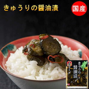 Y Е イ̏ݖЂ 100g×2 Y |Cg  イ Ђ {茧Y LE ~|ڂ 2ނIׂ Zbg т̂ [