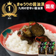 【5/18入荷予定】国産 きゅうり 漬物 きゅうり醤油漬け 100g×4袋 送料無料 無添加 ピリ辛きゅうり 漬け…