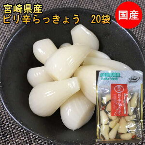 sh傤 Y Y 80gx20 傤Ђ@ JJ傤Ђ  @Ђ@җ BO@㉫Y Mtg v`Mtg 蕨  B {