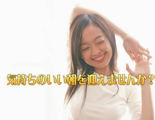 楽天市場 すっぽん サプリ にんにく卵黄 国産 すっぽん卵黄にんにく 10袋 1袋おまけ 送料無料 ニンニク卵黄ランキング1位 ソフトカプセルなので臭いがしない サプリメント 九州通販 取り寄せのじゃじゃ美味