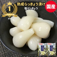 らっきょう 塩漬け 国産 無添加 90gx2袋 塩らっきょう らっきょう漬け 砂糖不使用 送料無料 カリカリらっ…