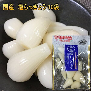 傤 Ђ Y Y 80gx10 傤Ђ 傤 sgp  JJ傤Ђ Ε @Ђ@җ BO B {