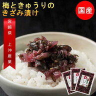 国産カリカリ梅ときゅうりのきざみ漬け 130g×3袋セット きゅうり 漬物 紀州南高梅 宮崎産きゅうり 梅っ…