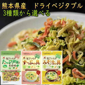 乾燥野菜 ミックス 国産 4袋セット 送料無料 ドライベジタブル 乾燥野菜ミックス 味噌汁の具 たっぷり野菜とわかめ 九州・熊本県産野菜 干し野菜 フリーズドライ 保存食 非常食 防災食品 長期保存 乾物 ポイント消化 メール 便 ギフト 贈り物