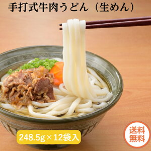 【同梱不可・送料無料】手打式牛肉うどん 1食・スープ、牛肉レトルト付 248.5g×12袋入り 福岡県産小麦100%