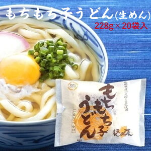 【同梱不可・送料無料】もちもち子うどん 1食・つゆ付 228g×20袋入り 福岡県産小麦100%