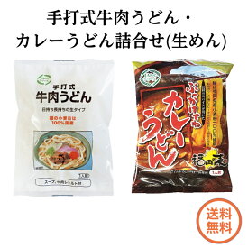 【同梱不可・送料無料】手打式牛肉うどん・ぶっかけてねカレーうどん詰合せ　（牛肉うどん1食・スープ、牛肉レトルト付　248.5g×6袋入り）（カレーうどん1食・レトルトカレー付 287g×4袋入り） 福岡県産小麦100%