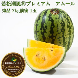 【希少品種のため数量限定】熟練の職人が栽培した幻の品種大玉黄色スイカ、1玉7kg前後、秀3L〜2Lをお届け北九州のブランドスイカ若松潮風®プレミアム　アムール