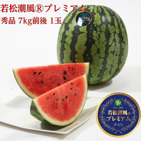 土づくりからこだわった完熟朝採り大玉スイカ、1玉7kg前後、秀2L〜Lをお届け北九州のブランドスイカ若松潮風®プレミアム【ギフト 送料無料 産地直送 フルーツ 果物 お中元 高級 甘い 限定 贈答 帰省 手土産 西瓜】
