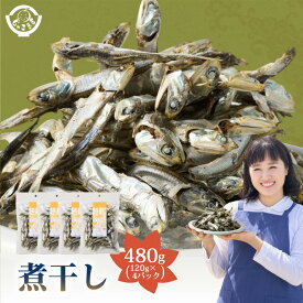 「瀬戸内海のかたくちいわし使用！老舗しらす屋の1匹ずつ吟味加工した うま味いりこ 480g(120g×4P)」 送料無料 [ 煮干し 煮干 にぼし カタクチイワシ 鰯 瀬戸内海産 国産 おつまみ ]