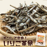 チンして変身！いりこ革命！20g × 4p 送料無料 ポイント消化 食べるいりこ 伊吹いりこ おやつ おつまみ …