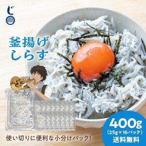 g炷 400g i25g×16pbNj  Yn ˓CY NxQ 炷 炷 VX т̂ Lv ql Ԃ H l炵 g؂ ς 