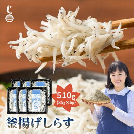 釜揚げしらす 510g（85g×6p） 産地直送 瀬戸内海産 鮮度抜群 しらす丼 釜揚げ しらす シラス ご飯のお供 お取り寄せ 厳選素材 ギフト 無添加 無着色 塩分控えめ 酒の肴 じゃこ丸海産